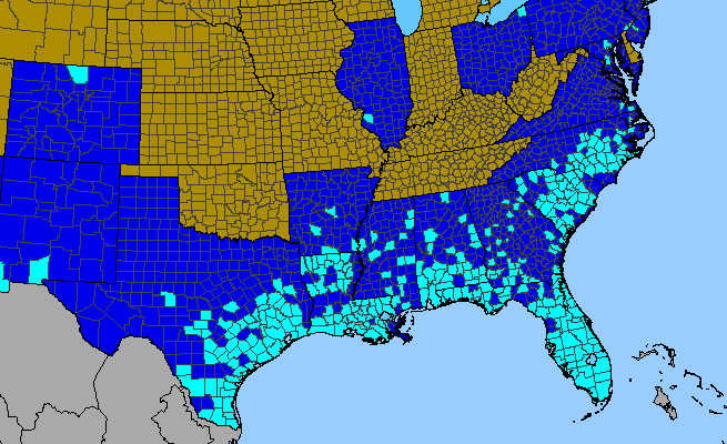 The range of Dactyloctenium aegyptium